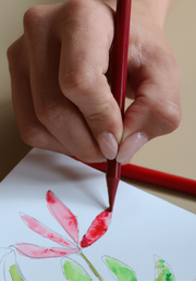 Plaura™ Woodless Watercolour Pencils